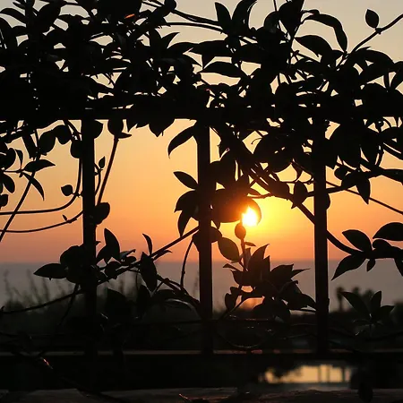 Agrikies Country Retreat Appartement Marathopoli