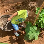 Agrikies Country Retreat Διαμέρισμα *