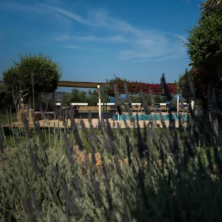 Agrikies Country Retreat Apartment Marathopoli