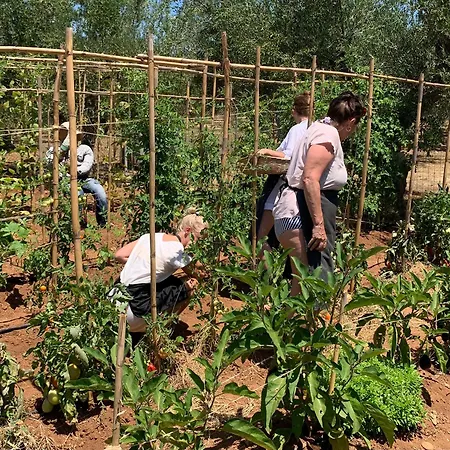 Agrikies Country Retreat * מרתופוליס