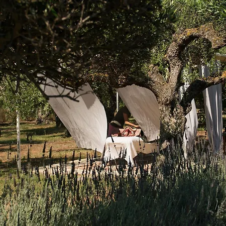 Agrikies Country Retreat Apartman