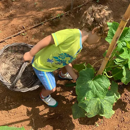 Agrikies Country Retreat Appartement *