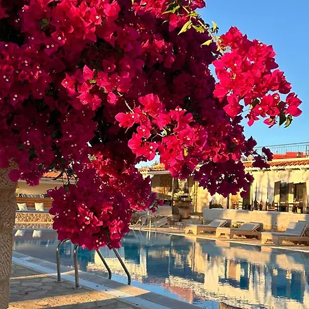 Appartamento Agrikies Country Retreat *