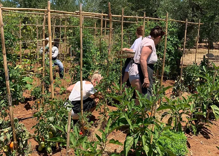 Agrikies Country Retreat * מרתופוליס