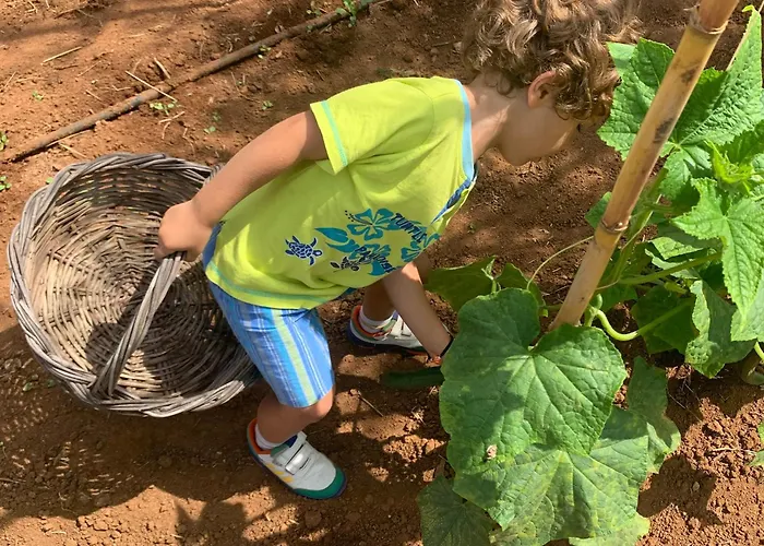 Agrikies Country Retreat דירה *